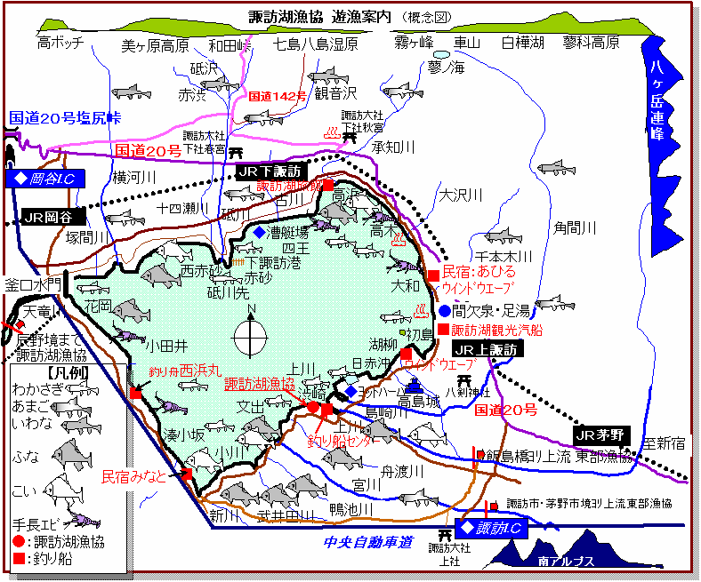 遊漁案内図　諏訪湖畔で捕れる魚が載っている